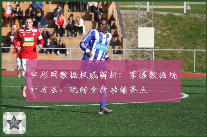 中彩网数据权威解析：掌握数据统计方法，玩转全新功能亮点