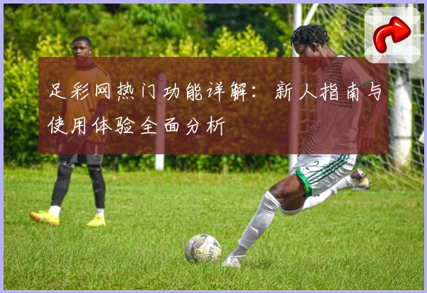 足彩网热门功能详解：新人指南与使用体验全面分析