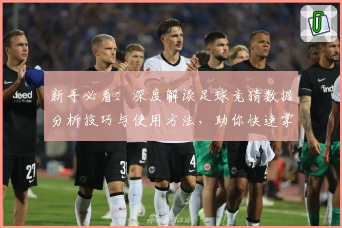 新手必看：深度解读足球竞猜数据分析技巧与使用方法，助你快速掌握入门诀窍