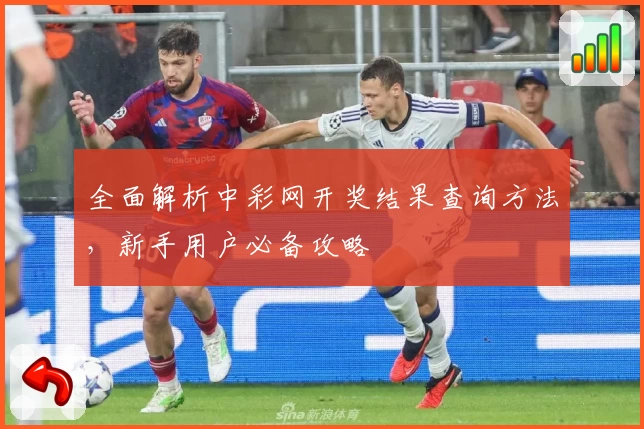 全面解析中彩网开奖结果查询方法，新手用户必备攻略