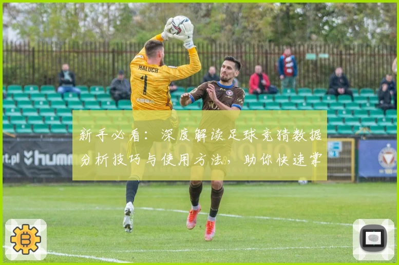 新手必看：深度解读足球竞猜数据分析技巧与使用方法，助你快速掌握入门诀窍